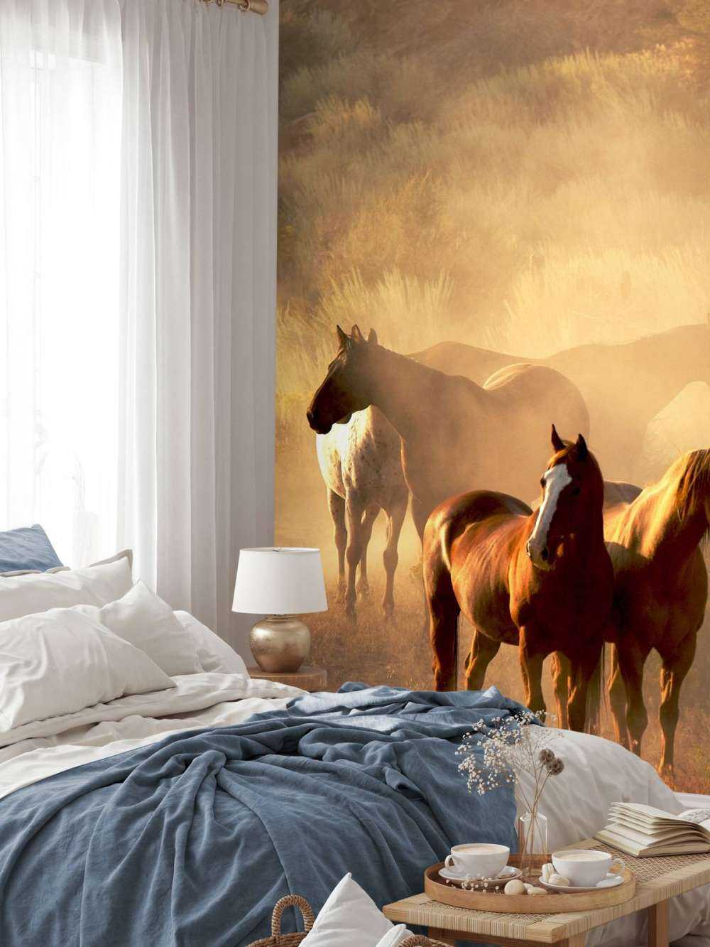 Konie podczas zachodu słońca