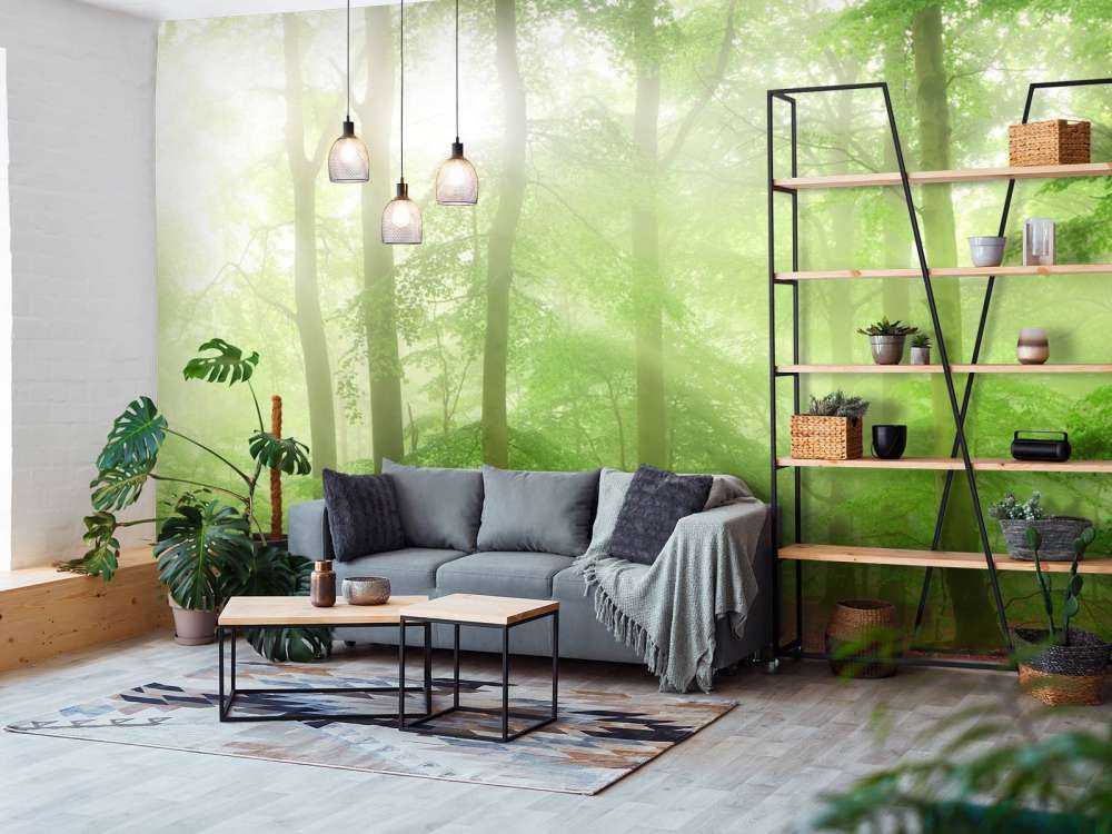 Zielona panorama leśna