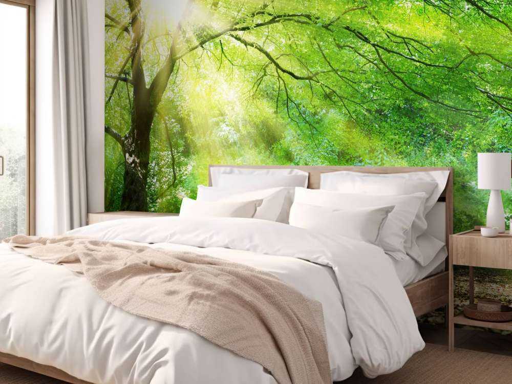 Duże drzewo ze słońcem