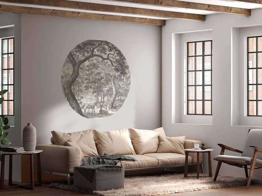 Widok na las z dwoma jeleniami