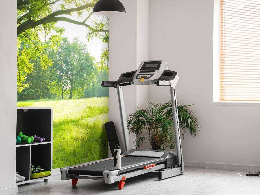 Piękne drzewo z zieloną trawą