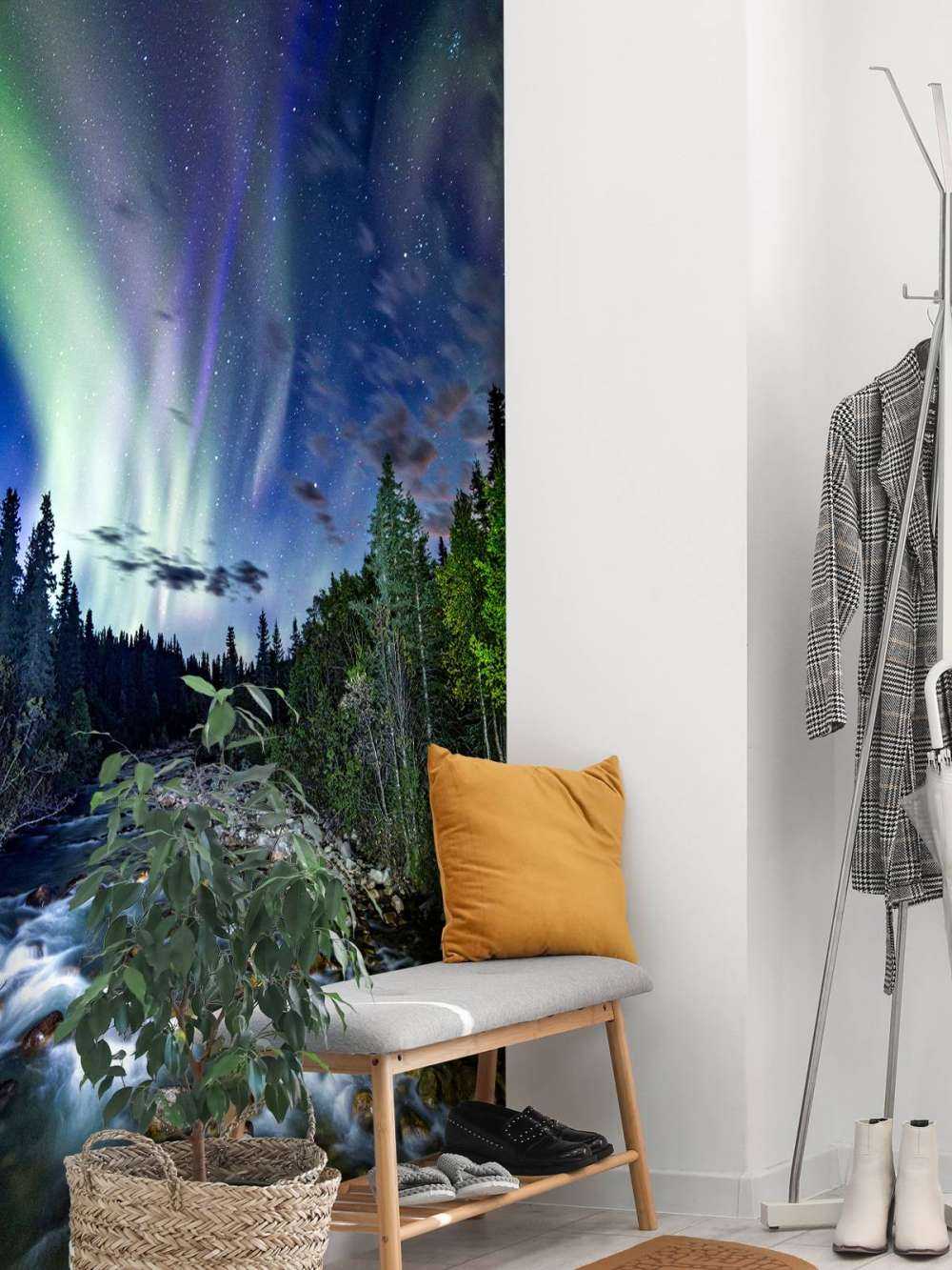 Brooklet podczas światła północnego