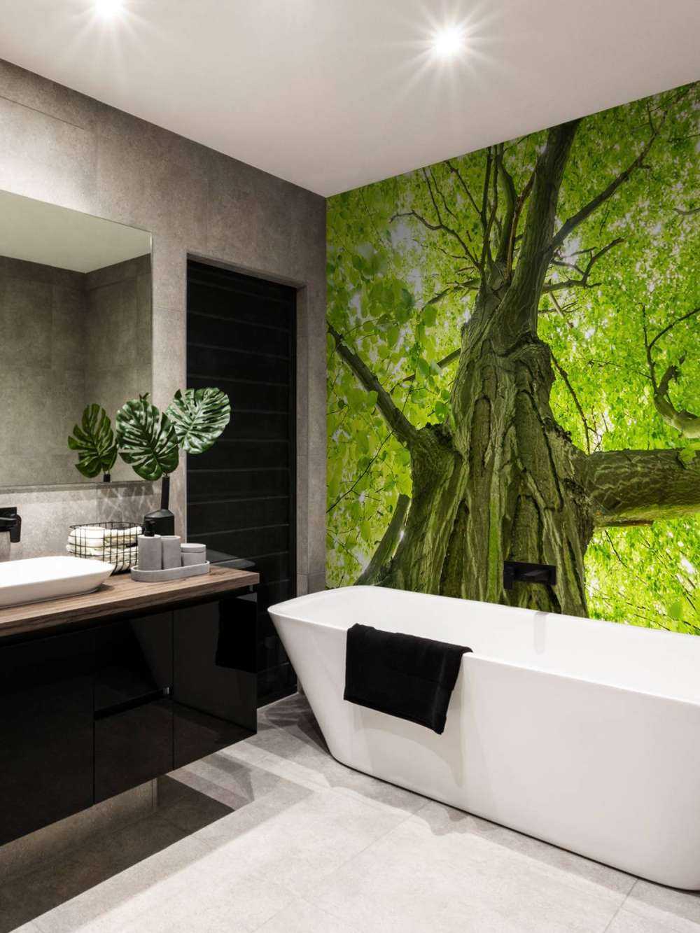 Duże drzewo w lesie