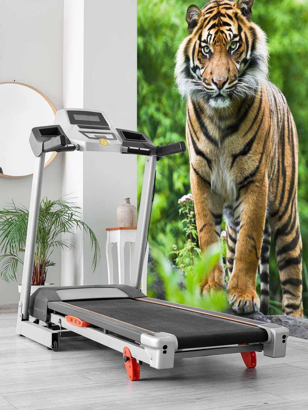 Tygrys stojący na kamieniu