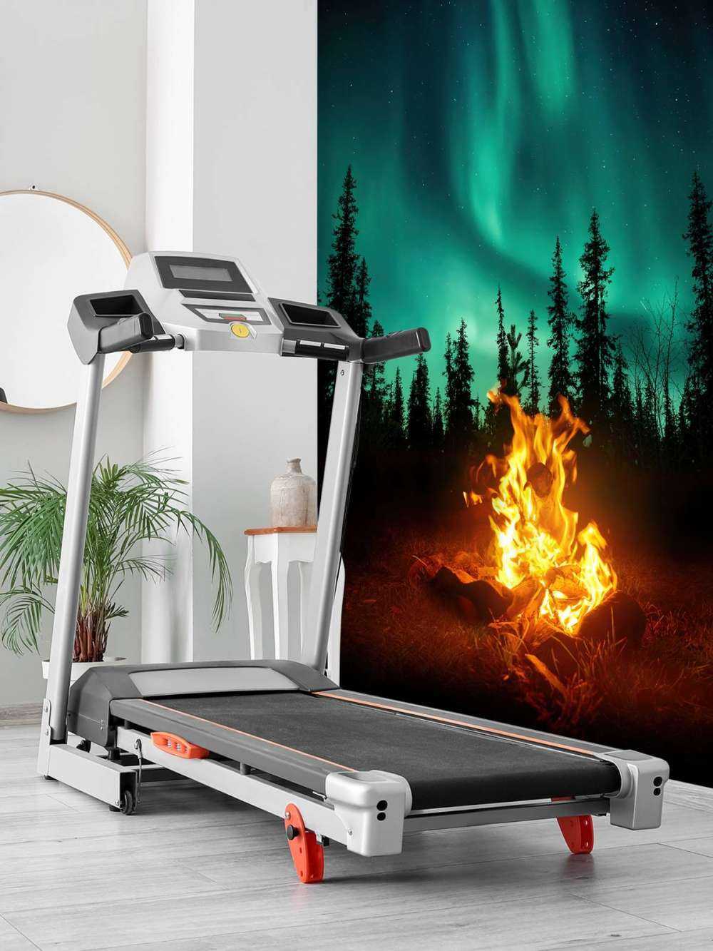 Ognisko pod północnymi światłami