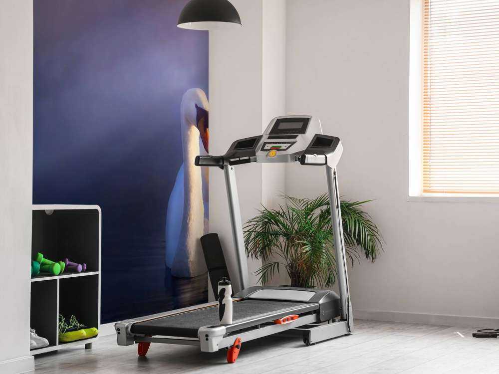 Kocham parę białych łabędzi