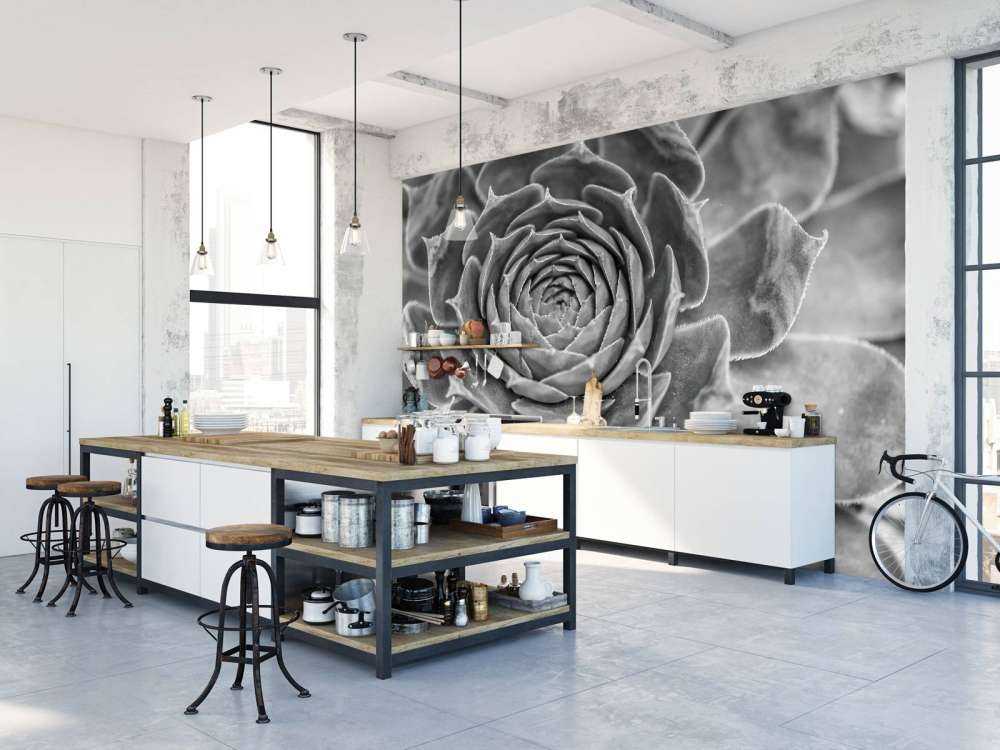 Sukulent w zbliżeniu