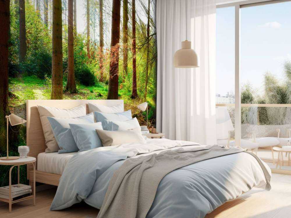 Jesienny las z jasnym światłem słonecznym