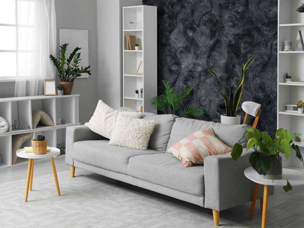 Złożona struktura drewna szarego