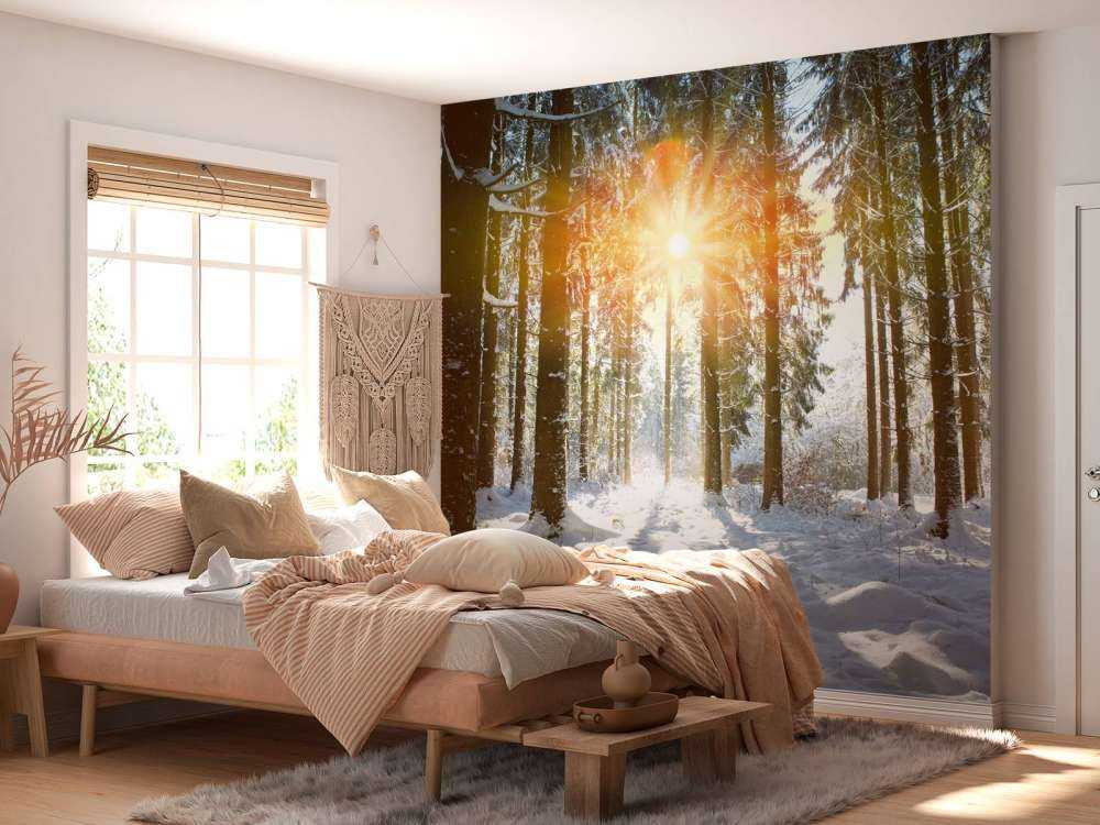 Światło słoneczne w zimowym lesie