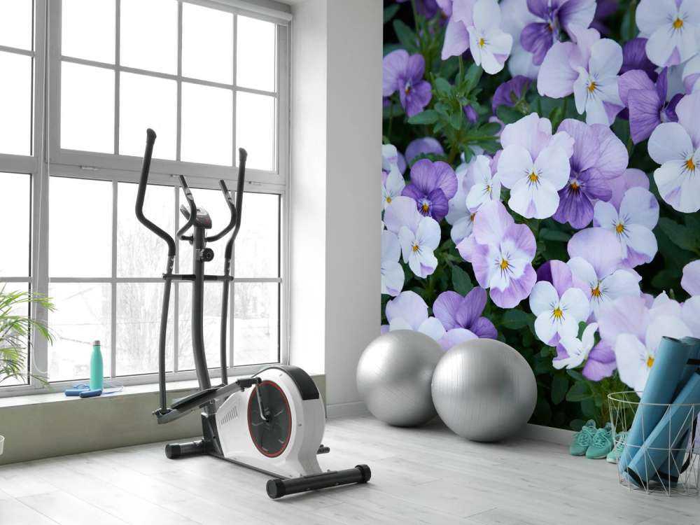 Fioletowobiałe skrzypce