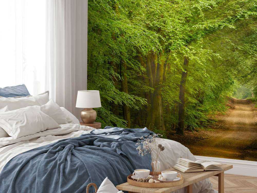 Ropucha w lesie z promieniami słońca