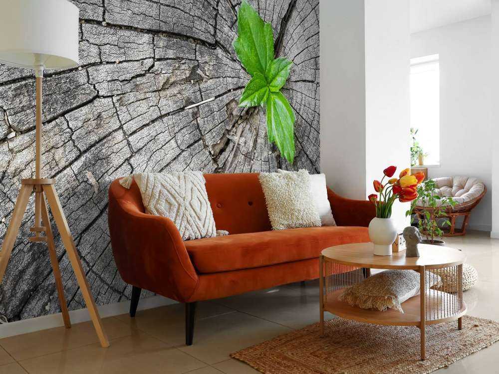 Średnica pnia drzewa 