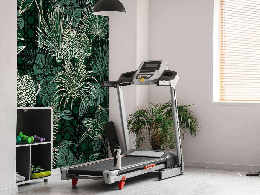 Skradająca się pantera