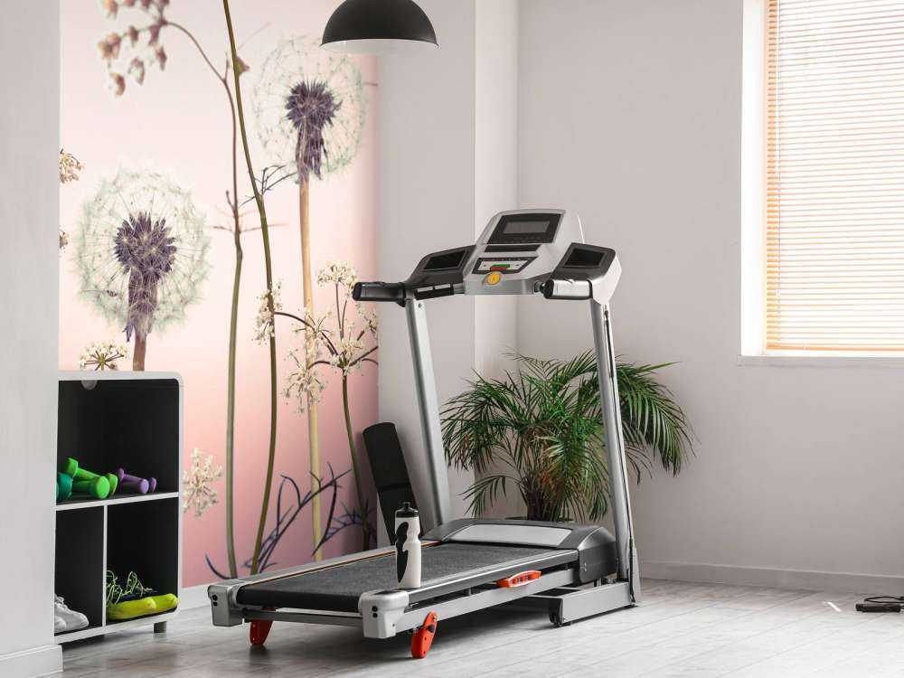 Łąka fantazyjny róż