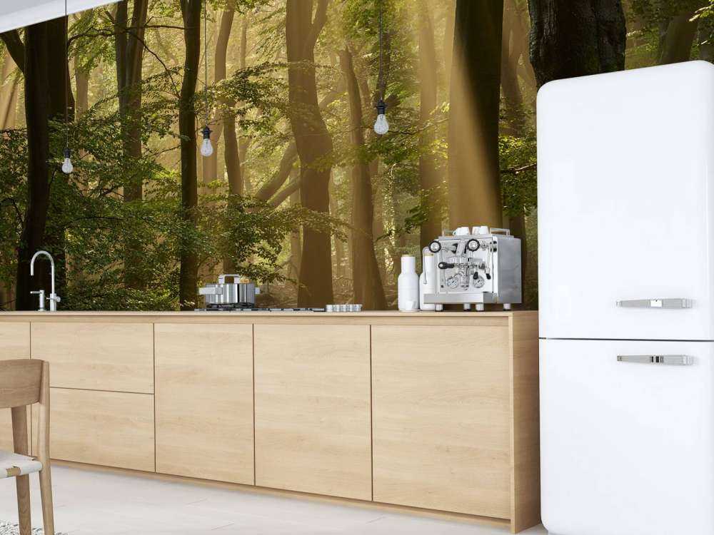 Stary las z osłonami przeciwsłonecznymi