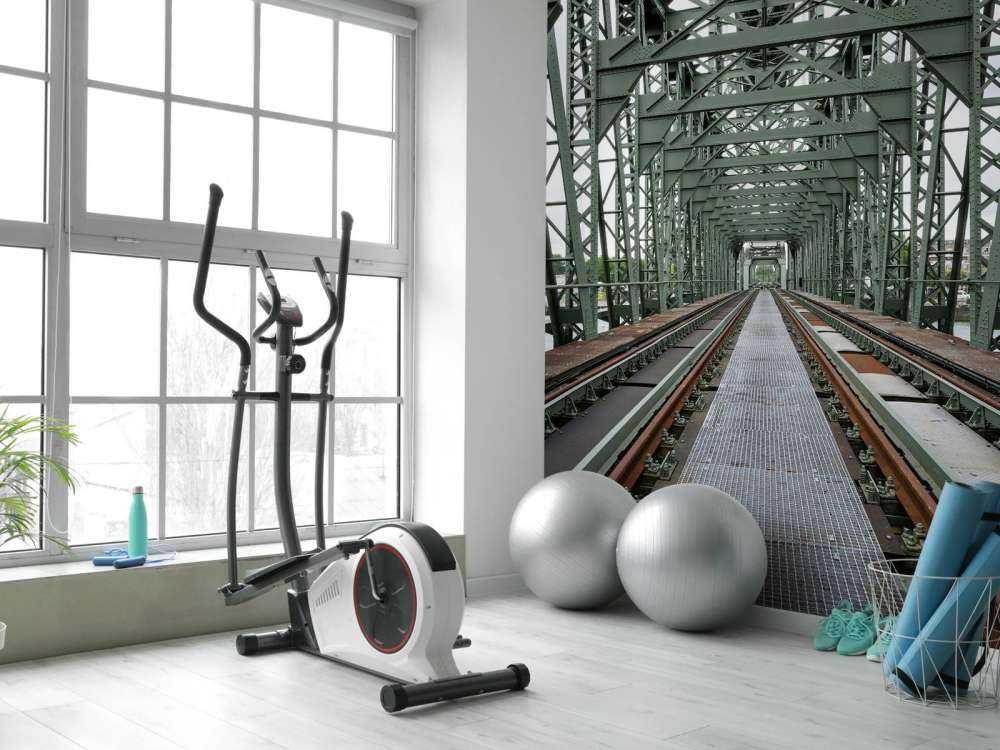 Monumentalny most kolejowy De Hef w Rotterdamie  