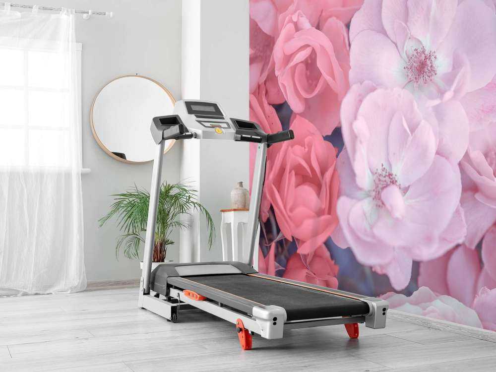 Różowe kwiaty urzędnicze