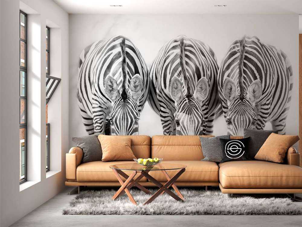 Three zebras