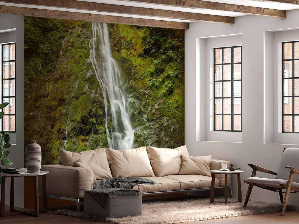 Wodospad z piękną zielenią 