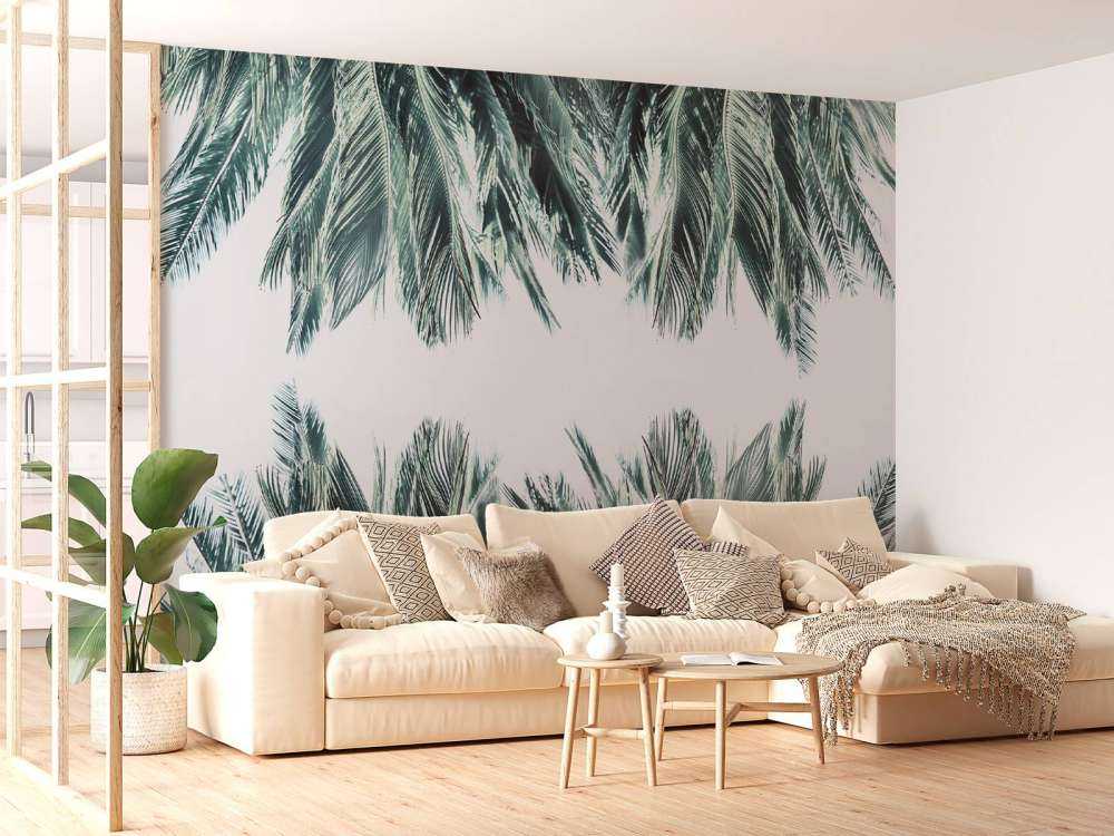 Liście palmowe na białym tle