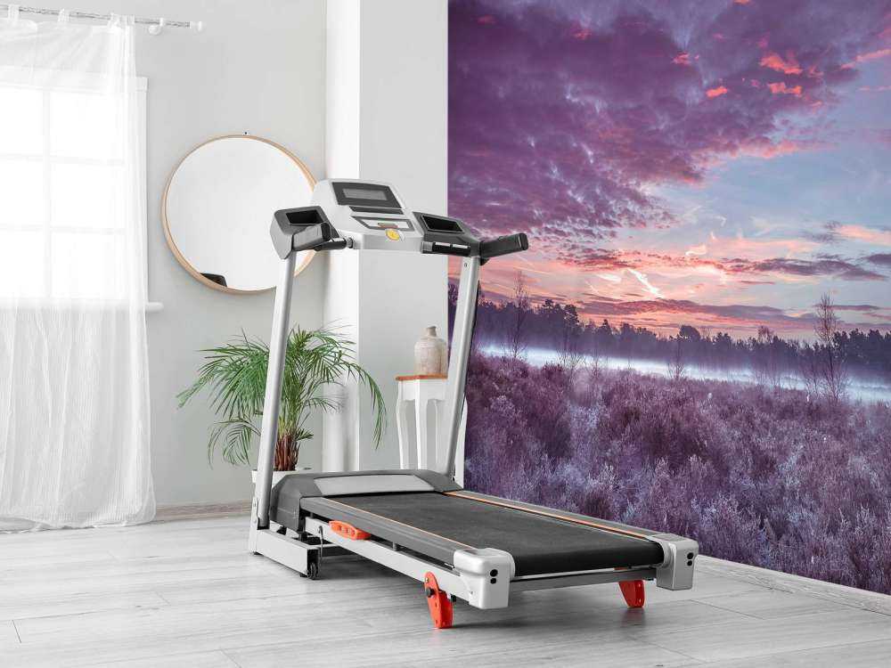 Łąka pod pochmurnym niebem