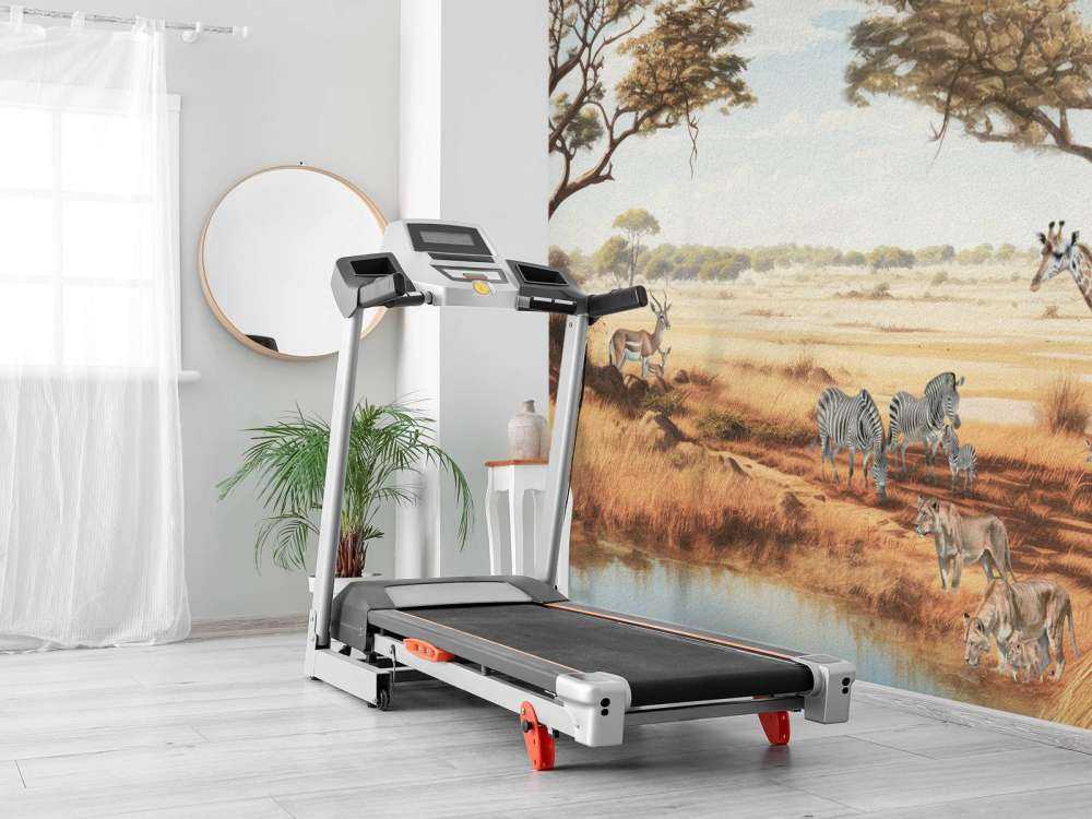 Kolor krajobrazu safari