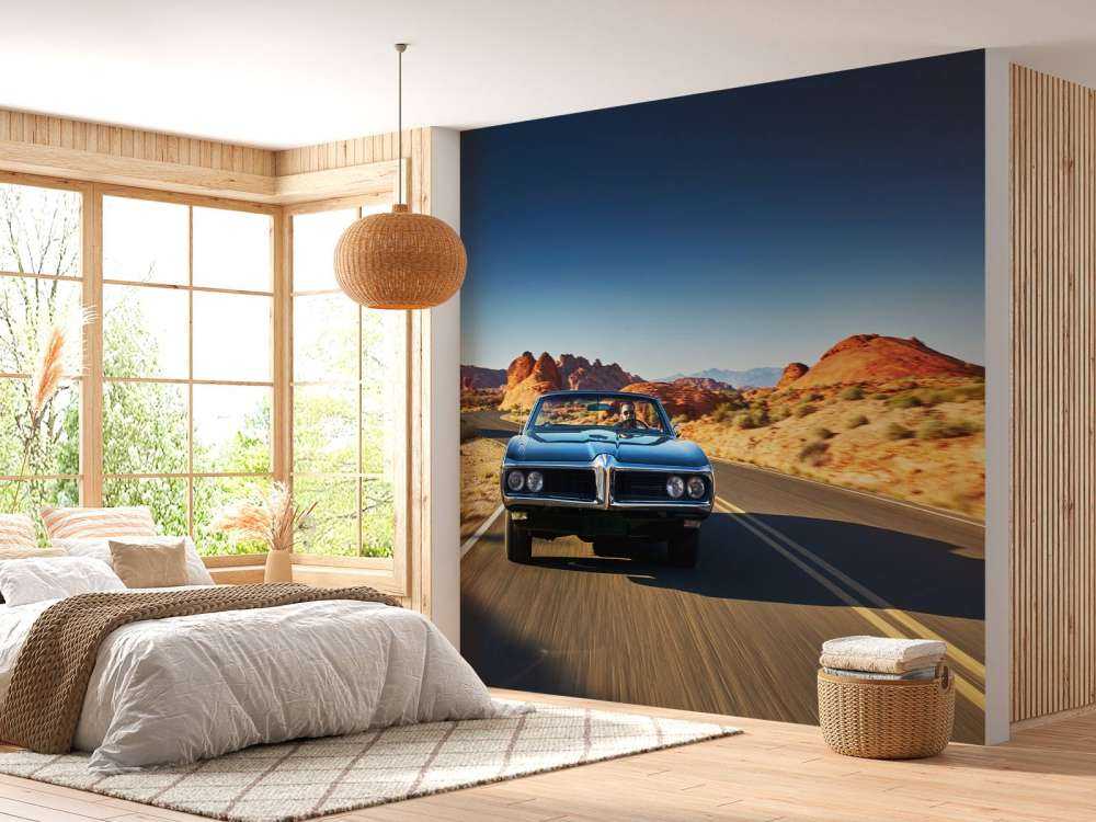 Samochód mięśniowy w amerykańskim krajobrazie