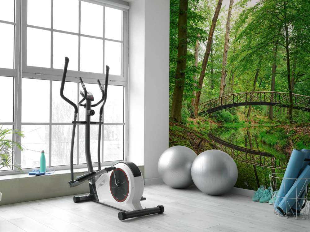 Most łukowy w lesie