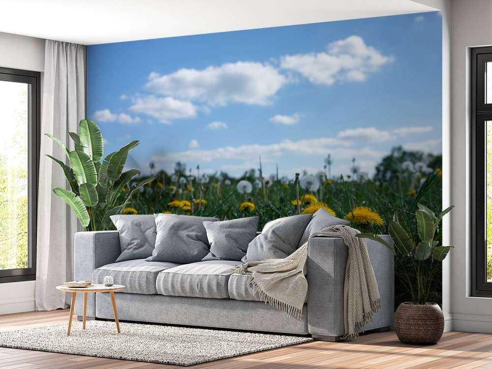 Żółte mniszki lekarskie