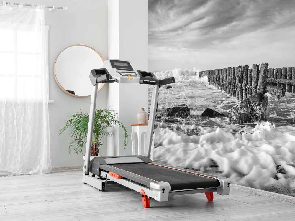 Spienione morze w czerni i bieli