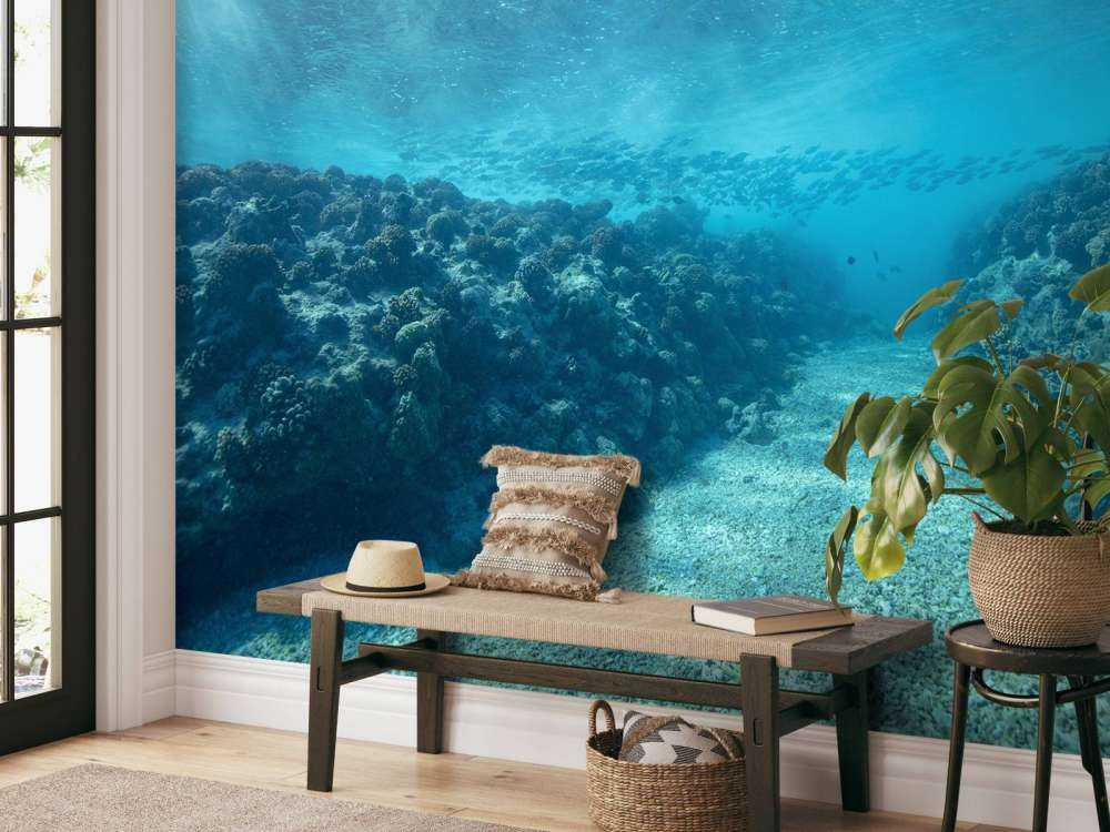 Podwodny świat z koralowcami