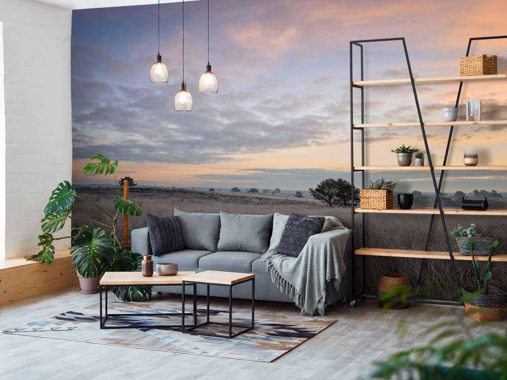 Trawy na wrzosowiskach