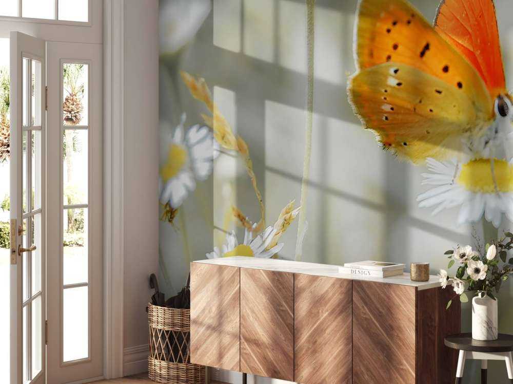 Stokrotki i pomarańczowy motyl