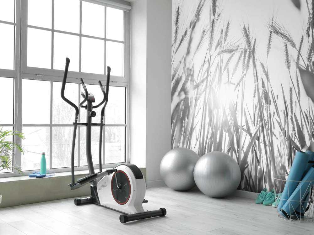 Słoneczne pole pszenicy