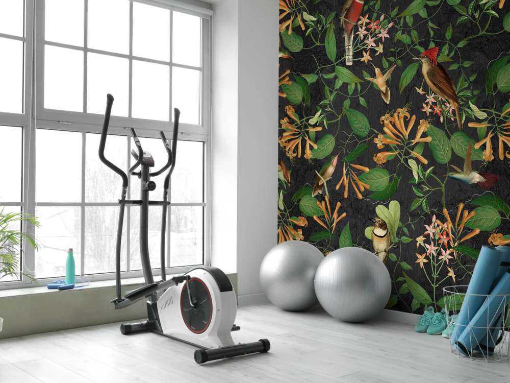 Melodia Północnego Ogrodu