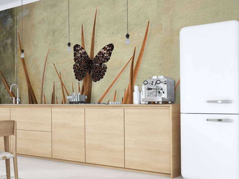 Motyl przy starej ścianie