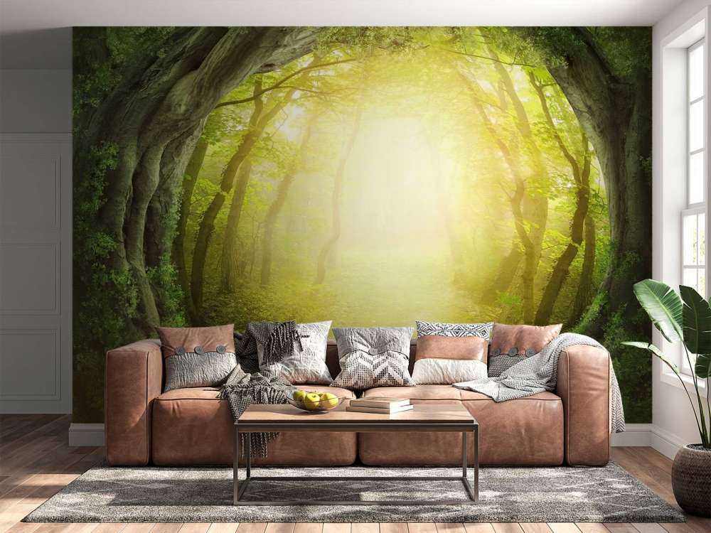 Kamienna ścieżka przez las