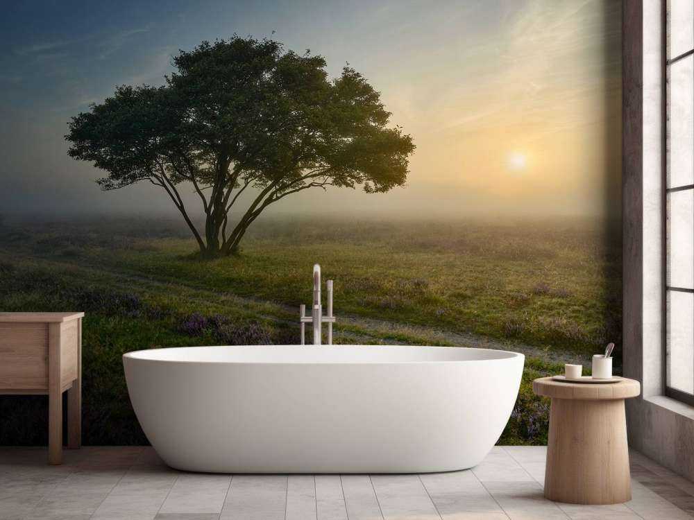 Wschód słońca na wrzosowisku