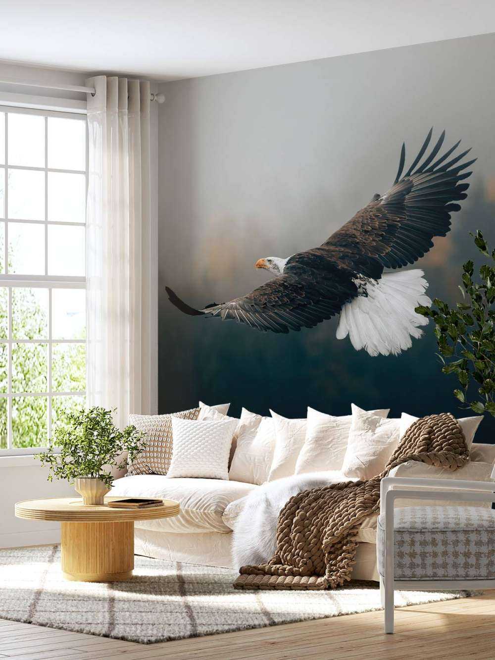 Orzeł przedni nad lasem