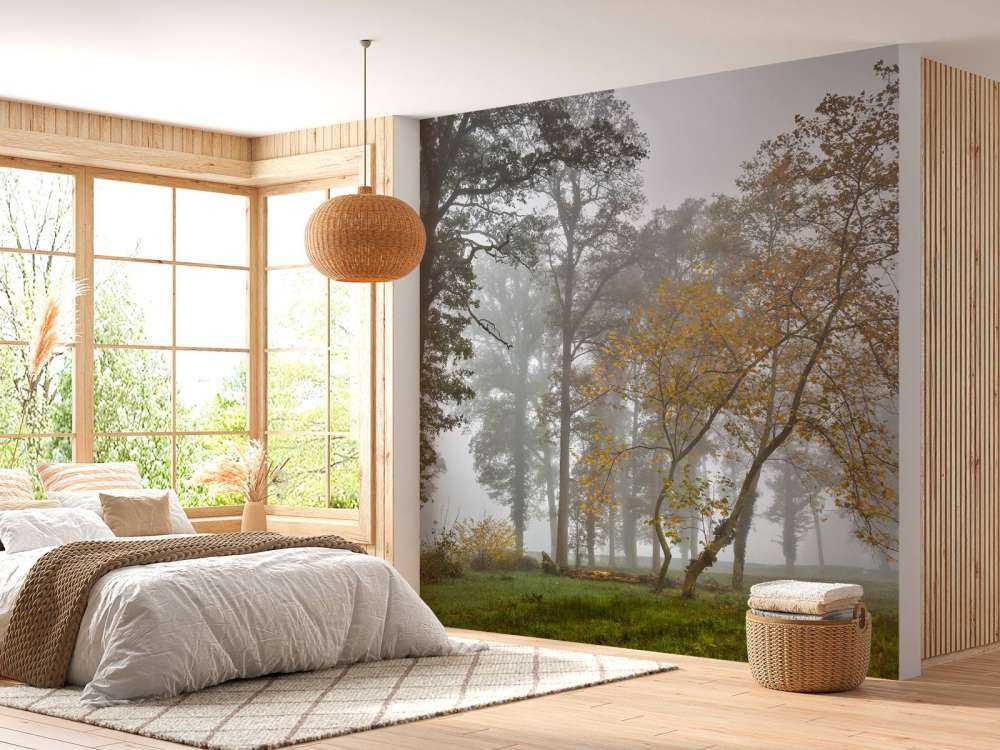 Pole trawiaste z drzewami i mgłą