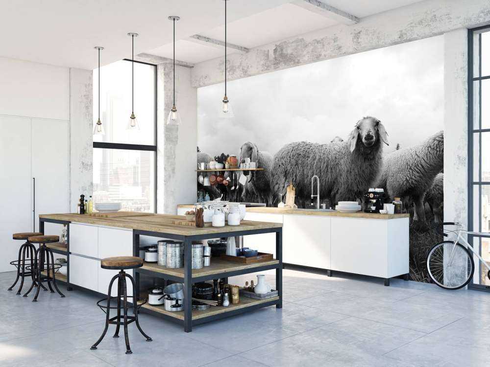 Stado owiec w czerni i bieli