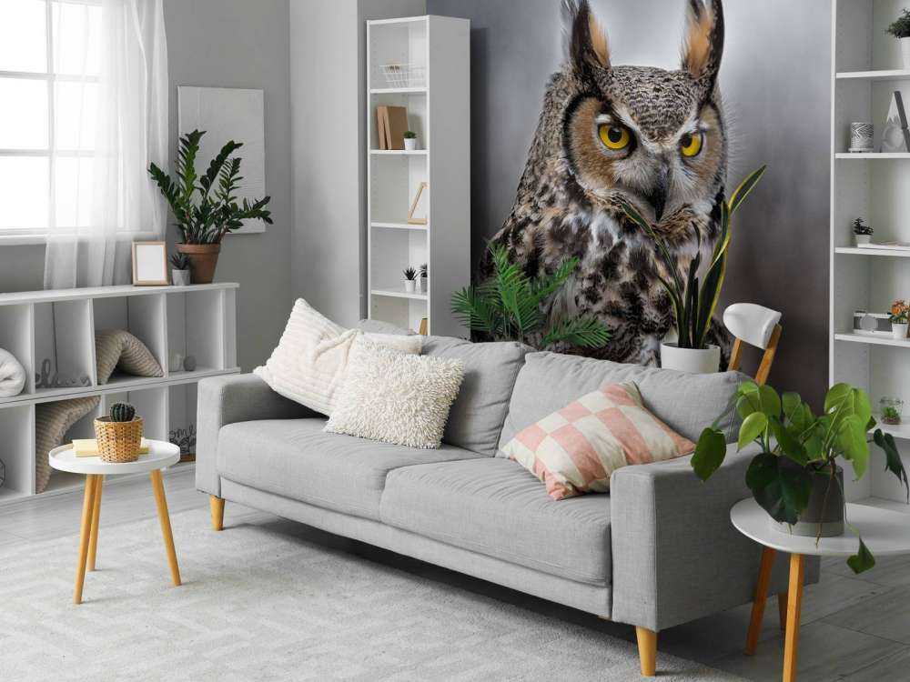 Sowa z brązowymi piórami