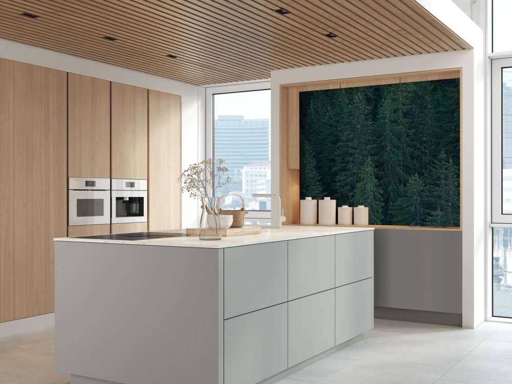 Drzewa iglaste z szyszkami sosnowymi