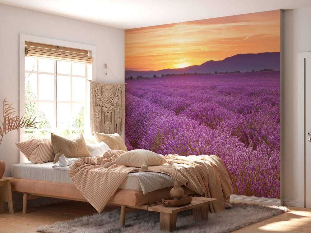 Pole pełne lawendy.