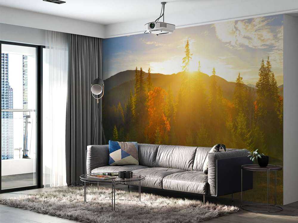 Panorama lasu sosnowego