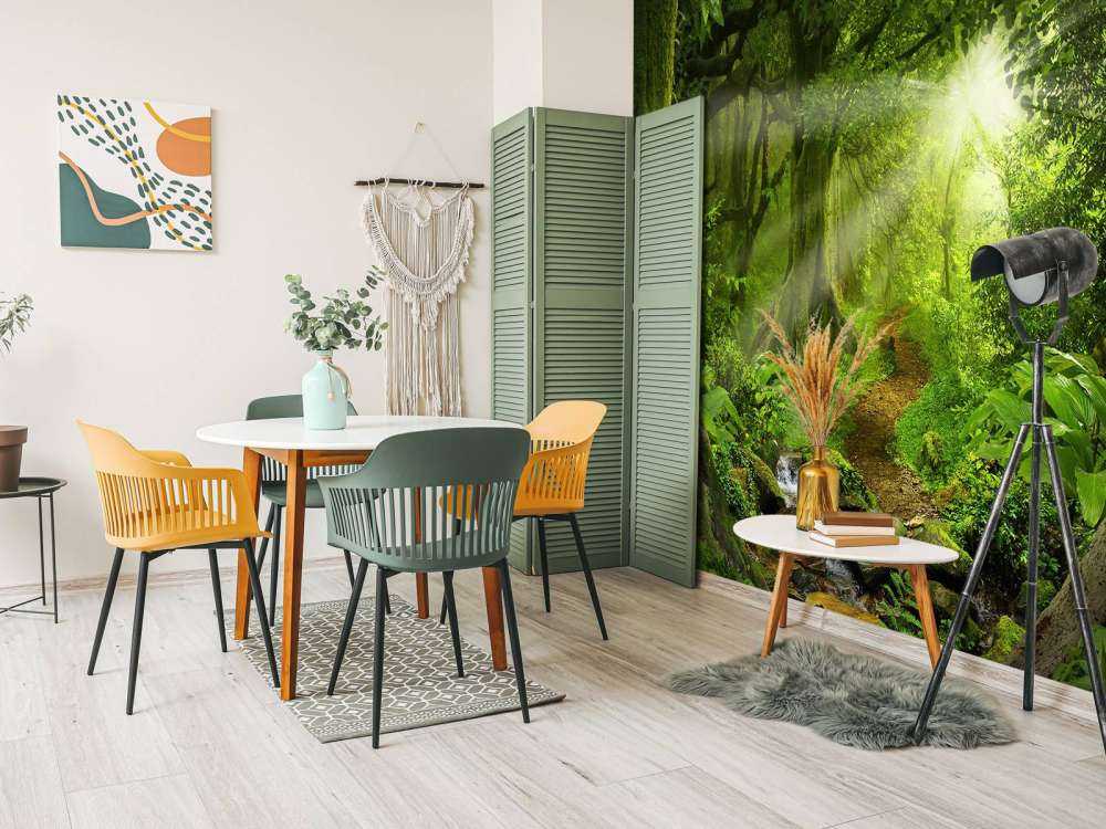 Tropikalna dżungla w świetle słońca