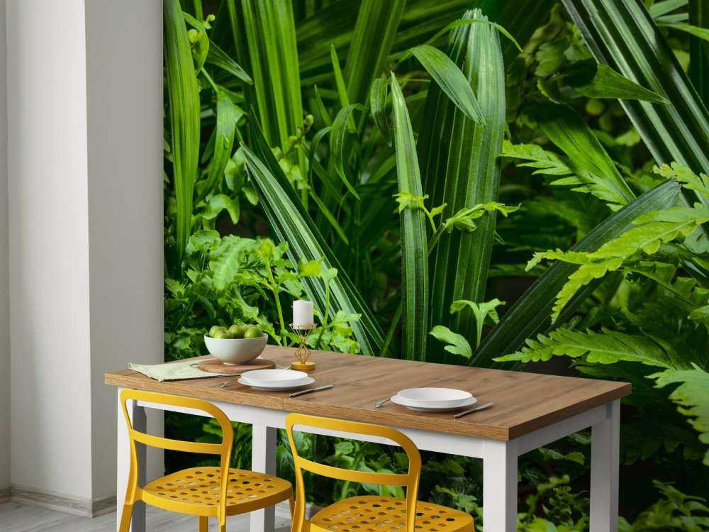 Panorama z roślinami