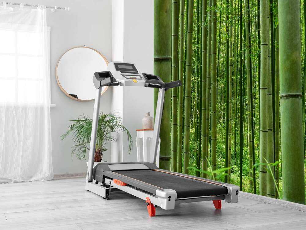 W środku lasu bambusowego