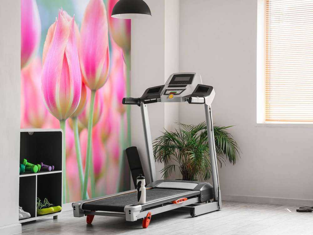 Zbliżenie na różowe tulipany